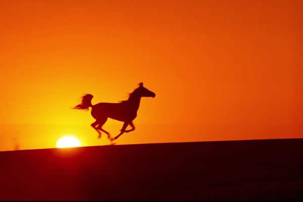 我認(rèn)為自己還年輕 1.jpg